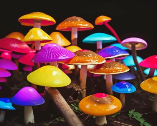 Colorful Mushroom Diamond Painting