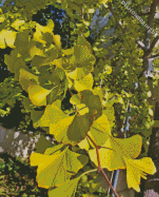 Ginkgo Tree Diamond Painting