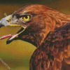 Golden Eagle Bird Diamond Painting