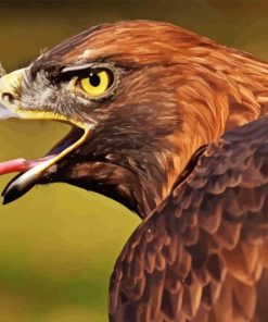 Golden Eagle Bird Diamond Painting