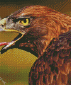 Golden Eagle Bird Diamond Painting