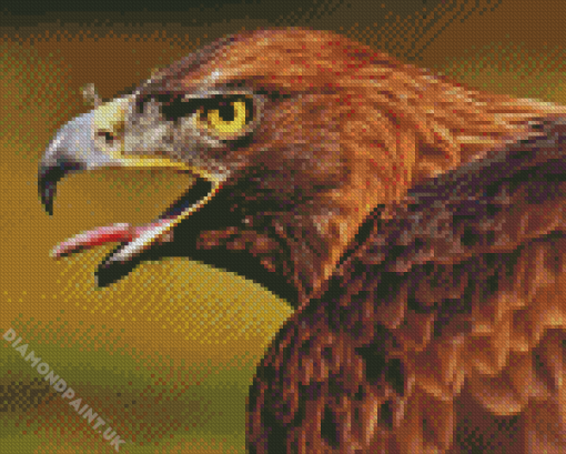 Golden Eagle Bird Diamond Painting