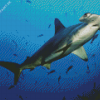 Hammerhead Shark Underwater Diamond Painting