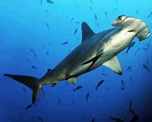 Hammerhead Shark Underwater Diamond Painting