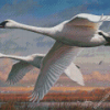 Joe Hautman Swans Diamond Painting