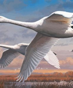 Joe Hautman Swans Diamond Painting