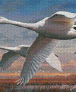 Joe Hautman Swans Diamond Painting