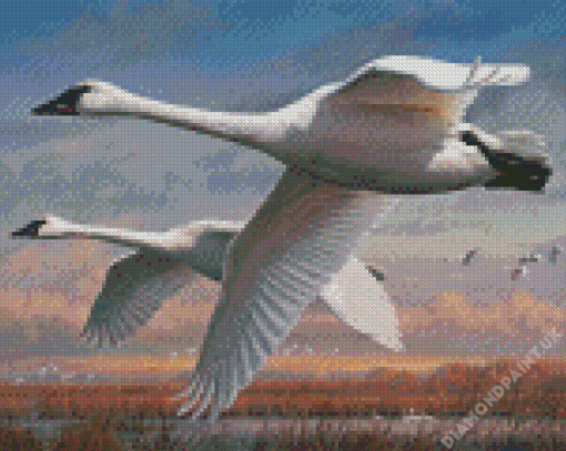 Joe Hautman Swans Diamond Painting