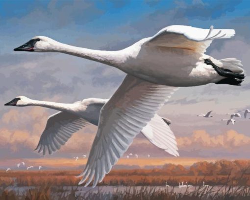 Joe Hautman Swans Diamond Painting