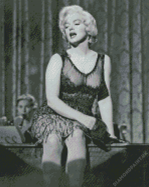 Black And White Marilyn Monroe Diamond Paintings