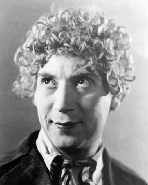 Monochrome Harpo Marx Diamond Painting