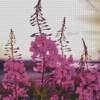 Pink Fireweed Flowering Plant Diamond Painting