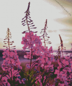 Pink Fireweed Flowering Plant Diamond Painting