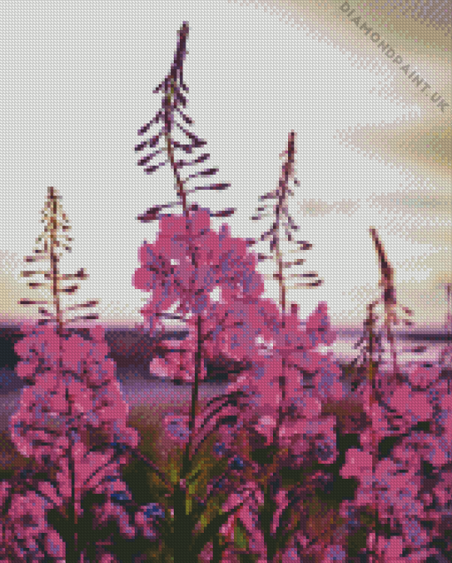 Pink Fireweed Flowering Plant Diamond Painting