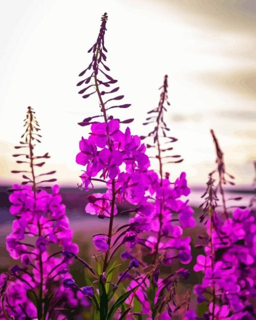 Pink Fireweed Flowering Plant Diamond Painting