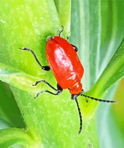 Red Beetle Diamond Painting