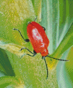 Red Beetle Diamond Painting