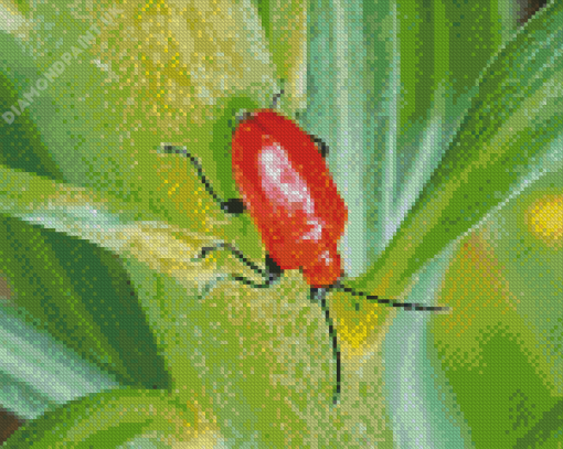 Red Beetle Diamond Painting