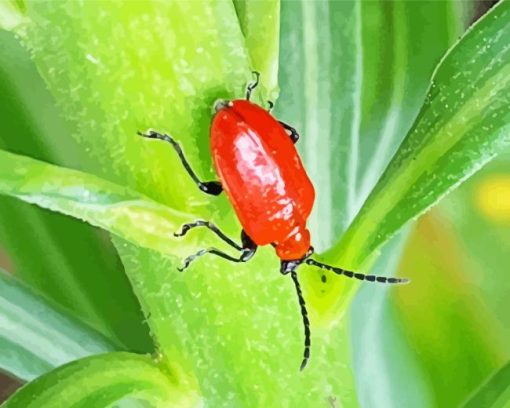 Red Beetle Diamond Painting