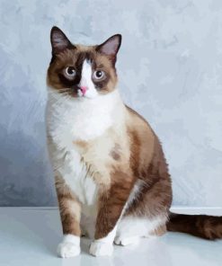 Snowshoe Cat Diamond Painting