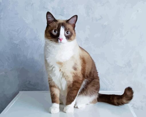 Snowshoe Cat Diamond Painting