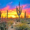 Sunset Saguaro National Park Diamond Painting