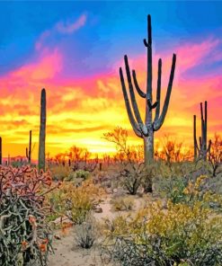 Sunset Saguaro National Park Diamond Painting