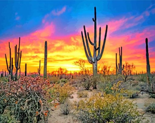 Sunset Saguaro National Park Diamond Painting