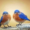 Two Blue Birds Diamond Painting