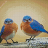 Two Blue Birds Diamond Painting