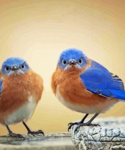 Two Blue Birds Diamond Painting