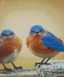 Two Blue Birds Diamond Painting