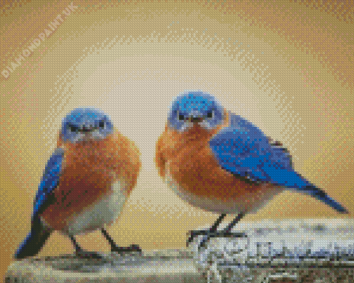 Two Blue Birds Diamond Painting