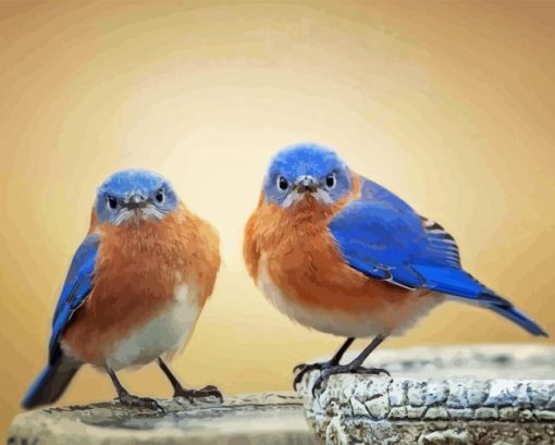 Two Blue Birds Diamond Painting