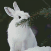 White Snowshoe Hare Diamond Painting