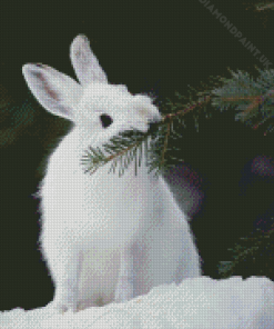 White Snowshoe Hare Diamond Painting