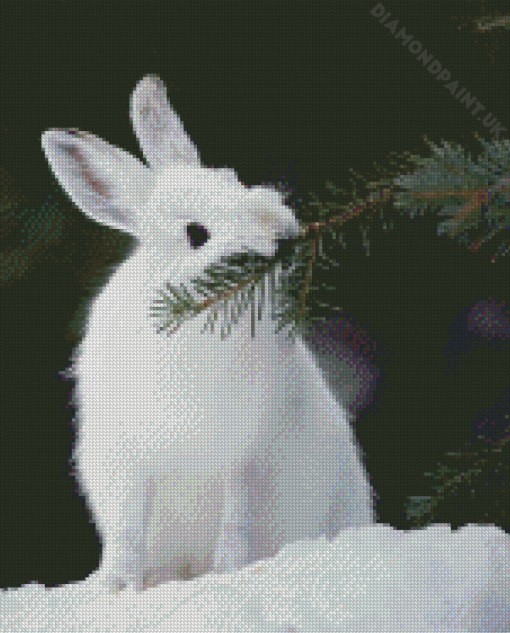 White Snowshoe Hare Diamond Painting