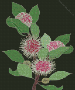 Hakea Diamond Painting