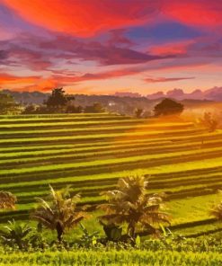 Rice Terraces At Sunset Diamond Painting