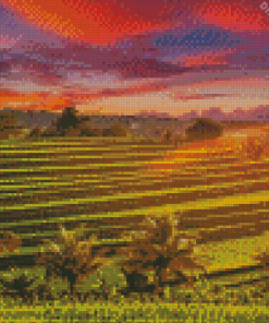 Rice Terraces At Sunset Diamond Painting