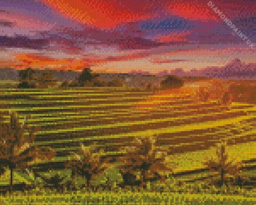 Rice Terraces At Sunset Diamond Painting