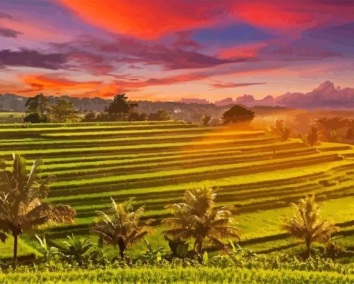 Rice Terraces At Sunset Diamond Painting