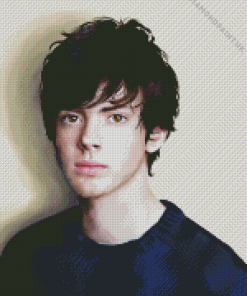 Skandar Keynes Actor Diamond Painting