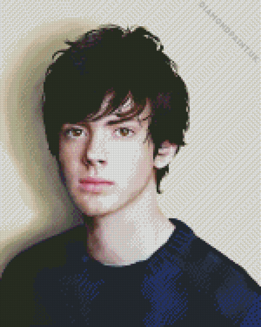 Skandar Keynes Actor Diamond Painting