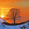 Sycamore Gap Tree Diamond Painting