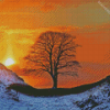 Sycamore Gap Tree Diamond Painting