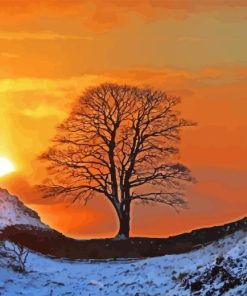 Sycamore Gap Tree Diamond Painting