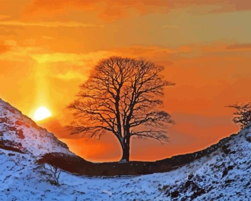 Sycamore Gap Tree Diamond Painting