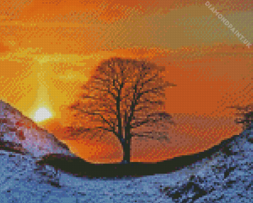 Sycamore Gap Tree Diamond Painting