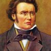 Portrait Of Franz Schubert Diamond Painting